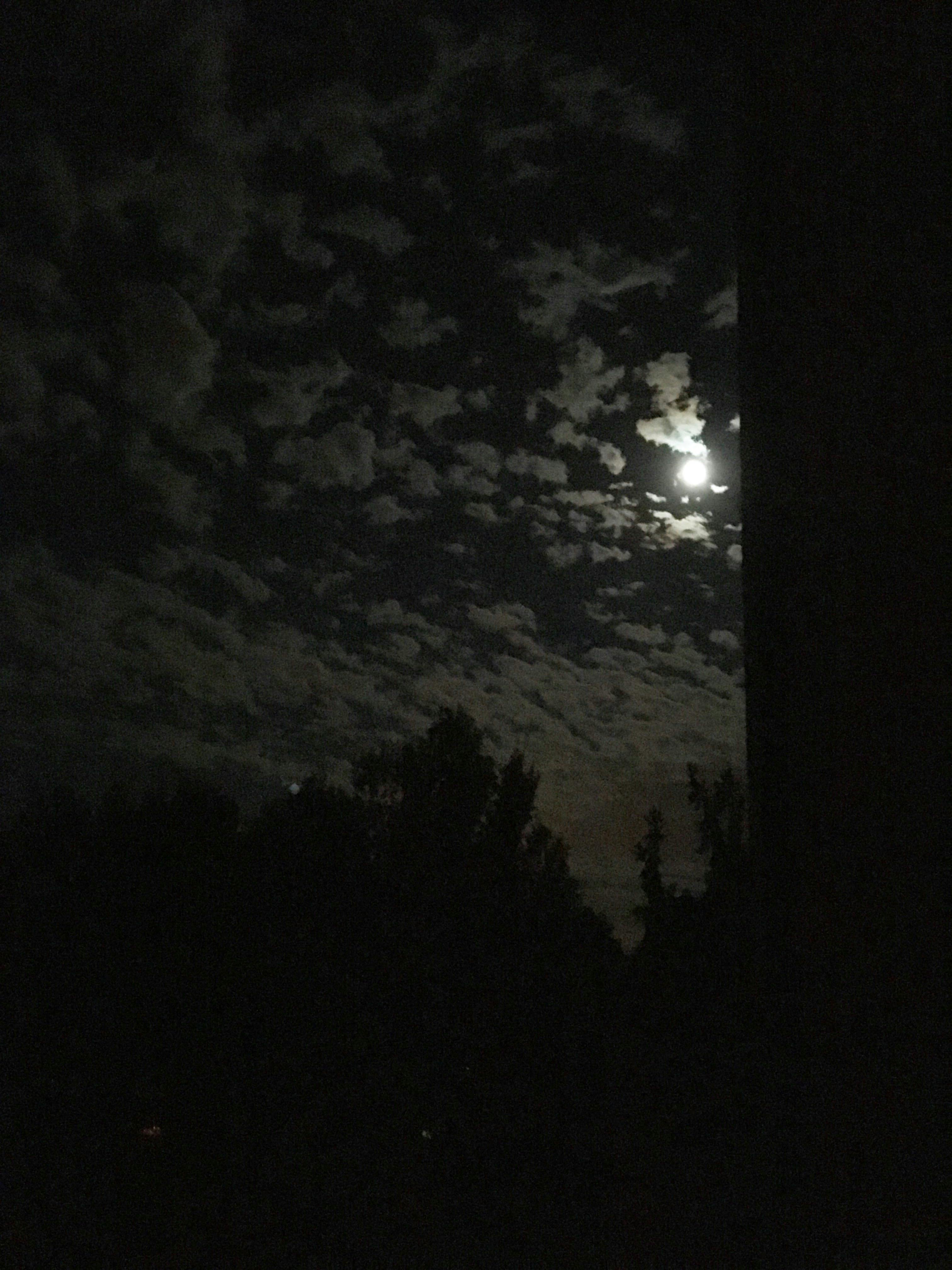 Free stock photo of moon, night lights