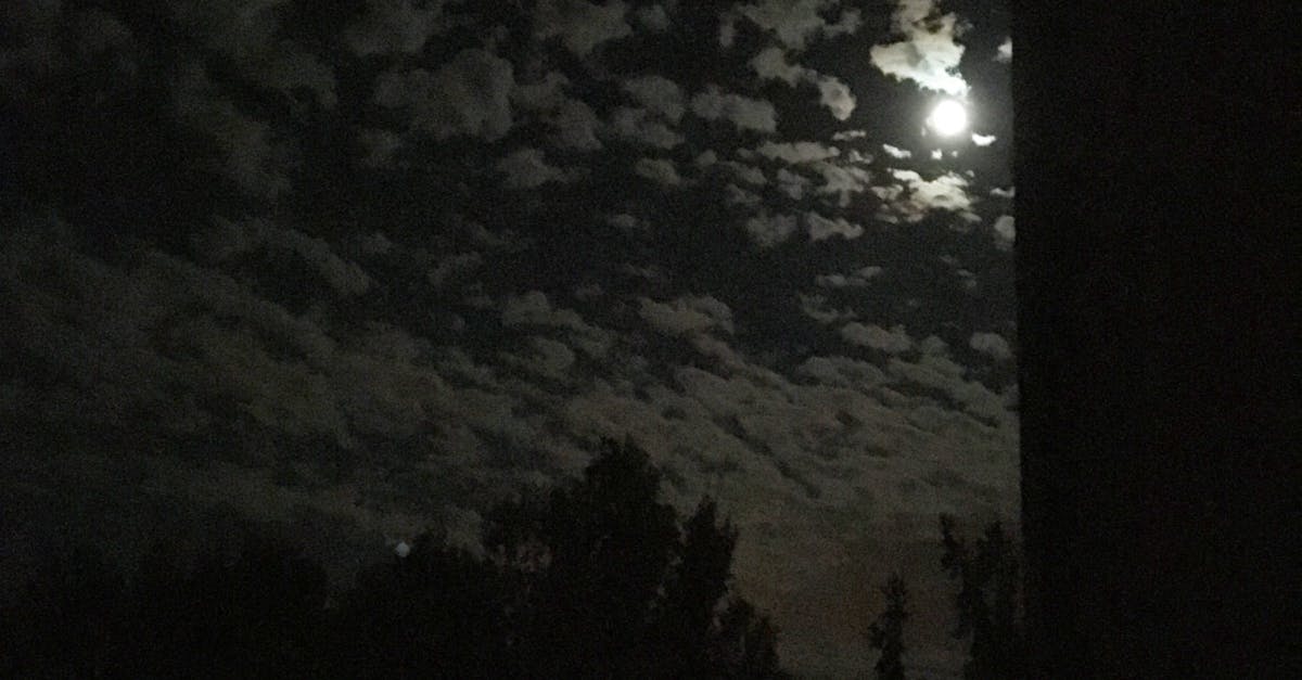 Free stock photo of moon, night lights