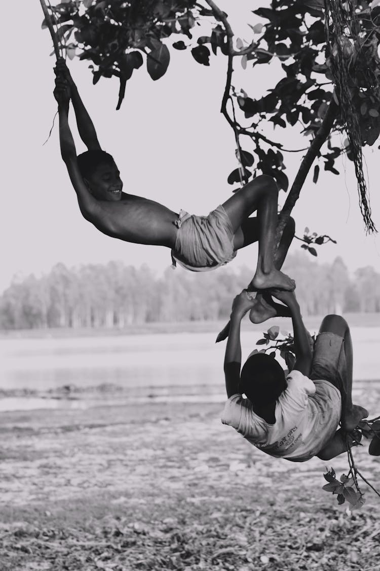 Boys Hanging On The Tree 