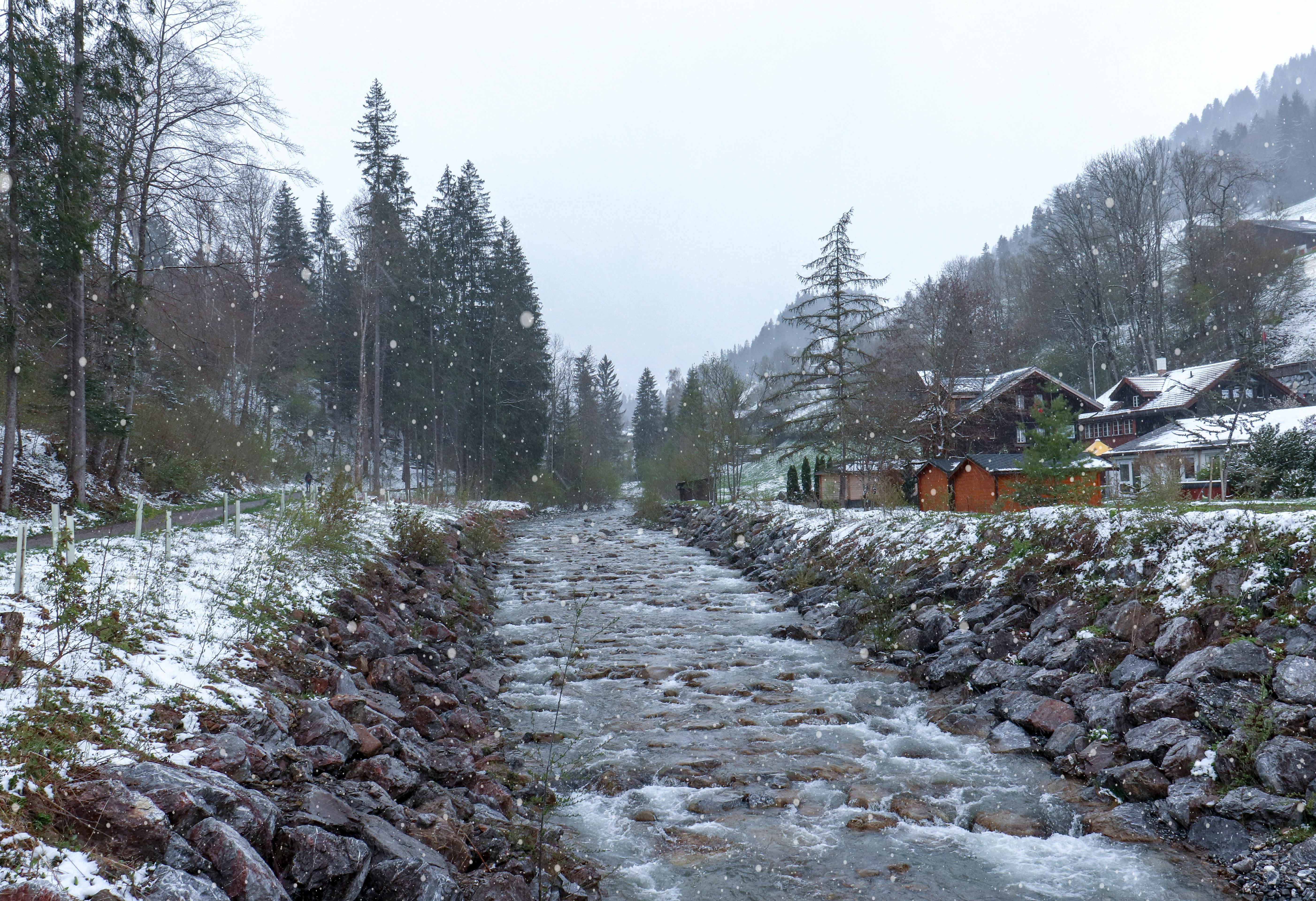 Laptop showing a streaming platform with a focus playlist open