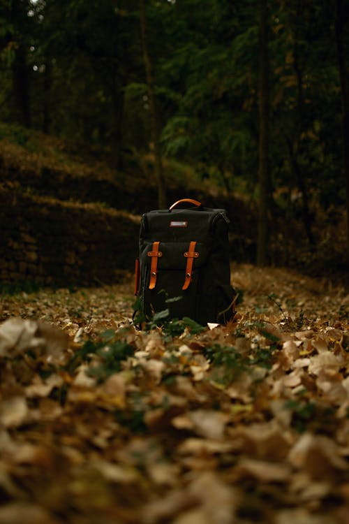 Black Backpack on Dried Leaves