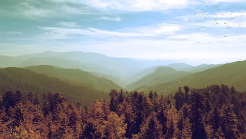 Безкоштовне стокове фото на тему «Гімалаї, гора, Денне світло»