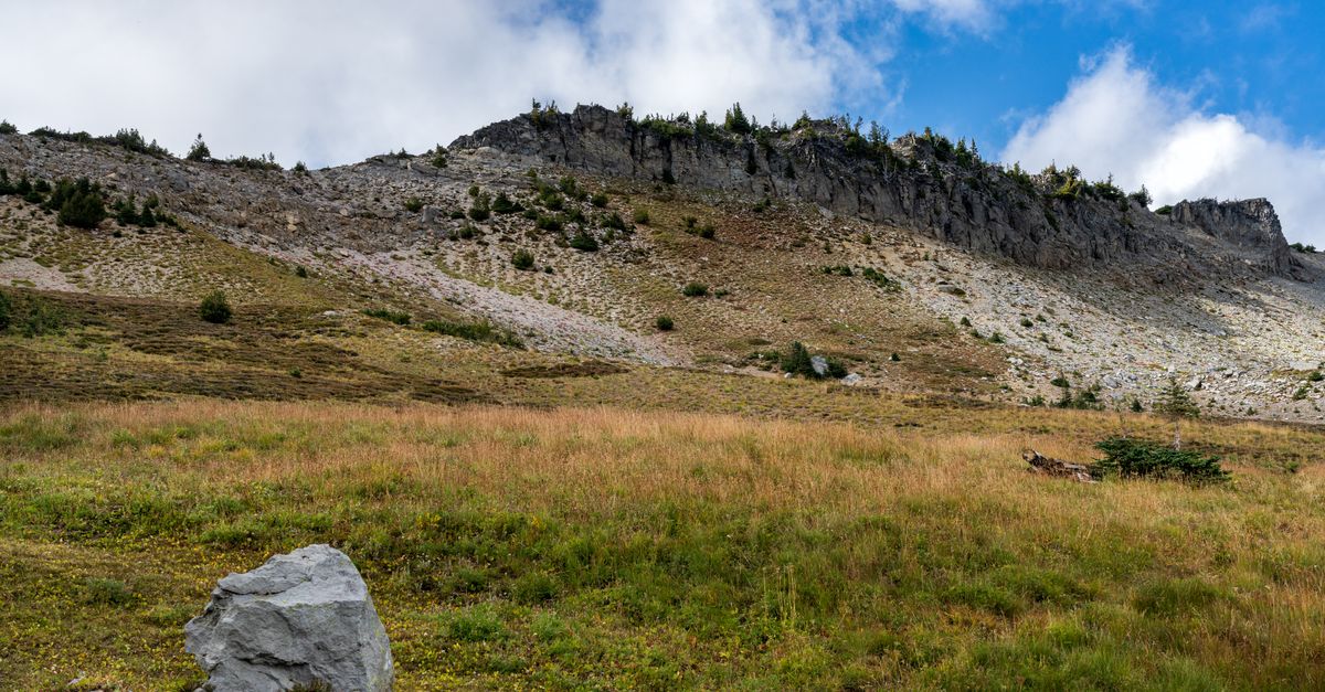Big Gray Rock on the Grass Field · Free Stock Photo