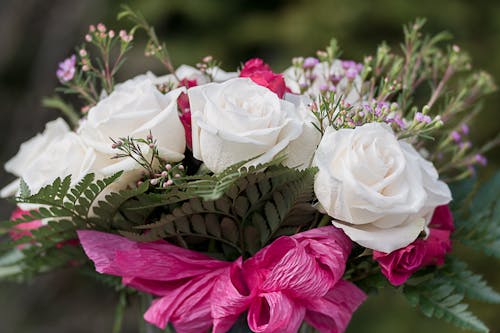 Free Tender bouquet of roses and small wildflowers in daylight Stock Photo