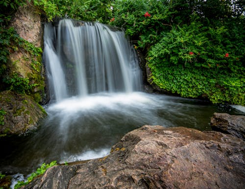 Free Picturesque view of cascade with rapid water flows in mounts with blooming flowers in summer Stock Photo