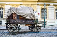 Wooden Carriage Parked on the Street
