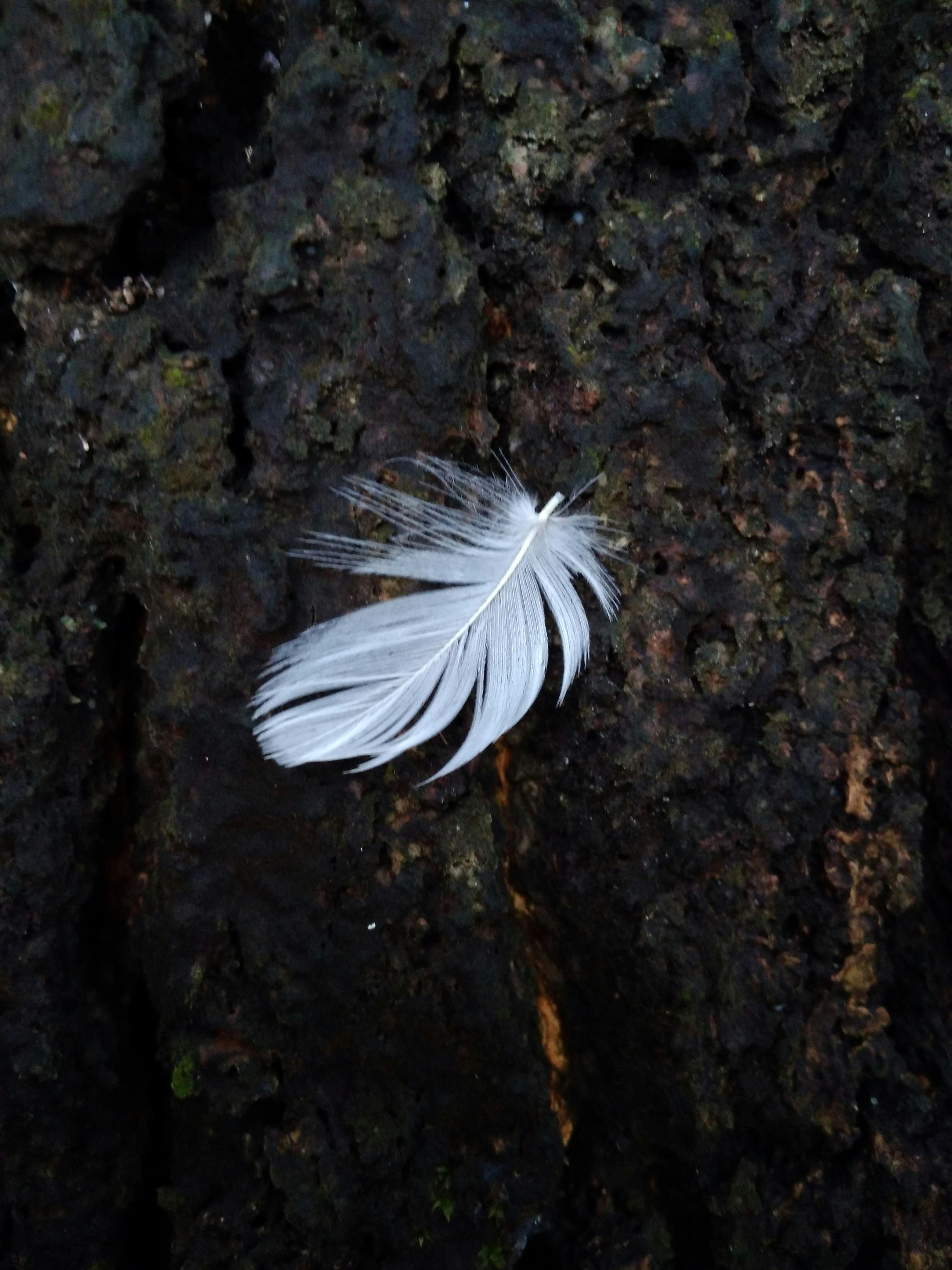 Team Strategy Meeting