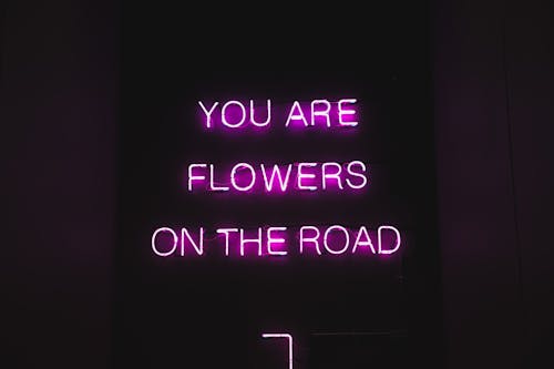 Pink color neon luminous text with inspiring phrase You are flowers on the road on black signage at night
