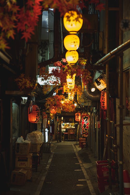 An Illuminated Lanterns on the Street