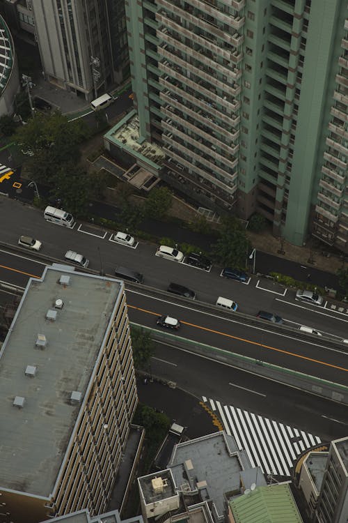 Contemporary megapolis with tall buildings and roads