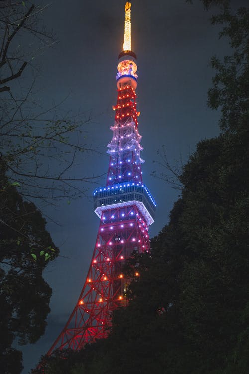 From below of glowing luminous high metal tower with colorful lights at night