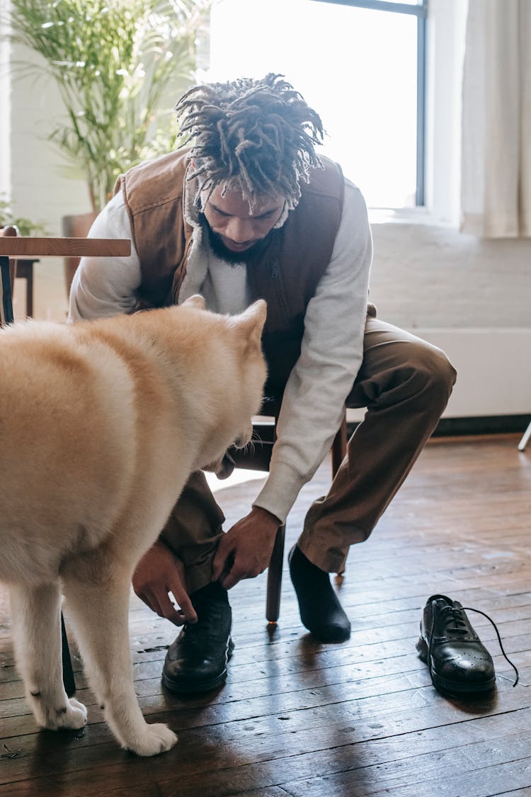 Black Man Lacing Shoe Near Adorable Dog At Home