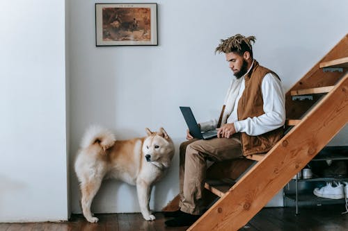 Side view of young African American male freelancer working remotely on laptop sitting on wooden staircase near adorable Akita dog at home