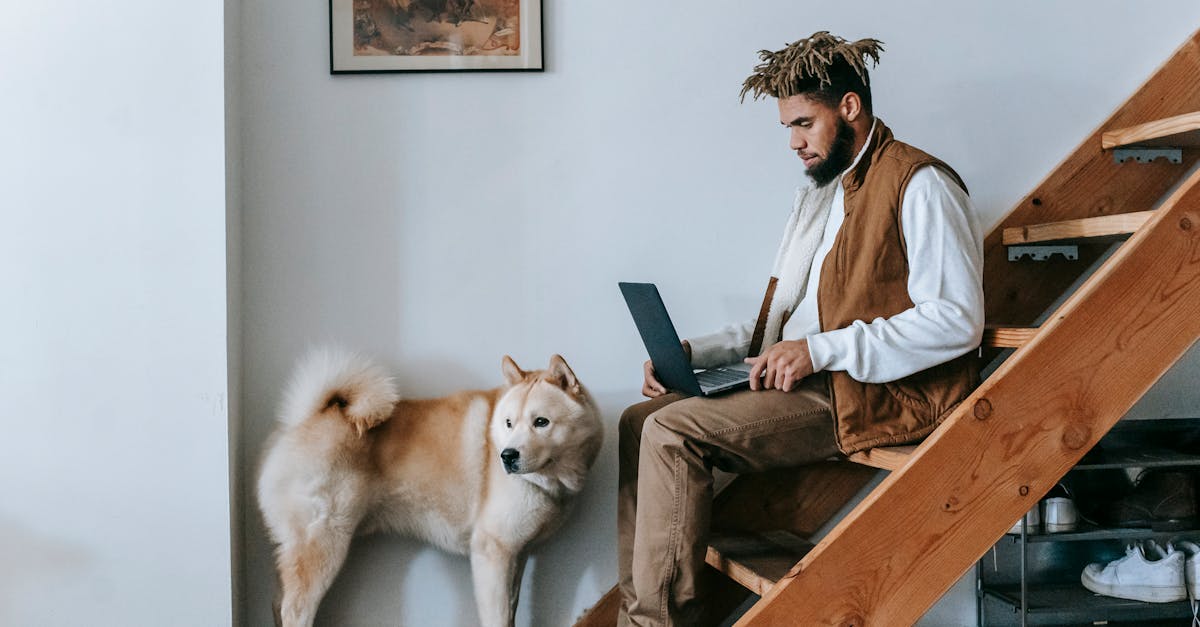 How smart are cats compared to dogs