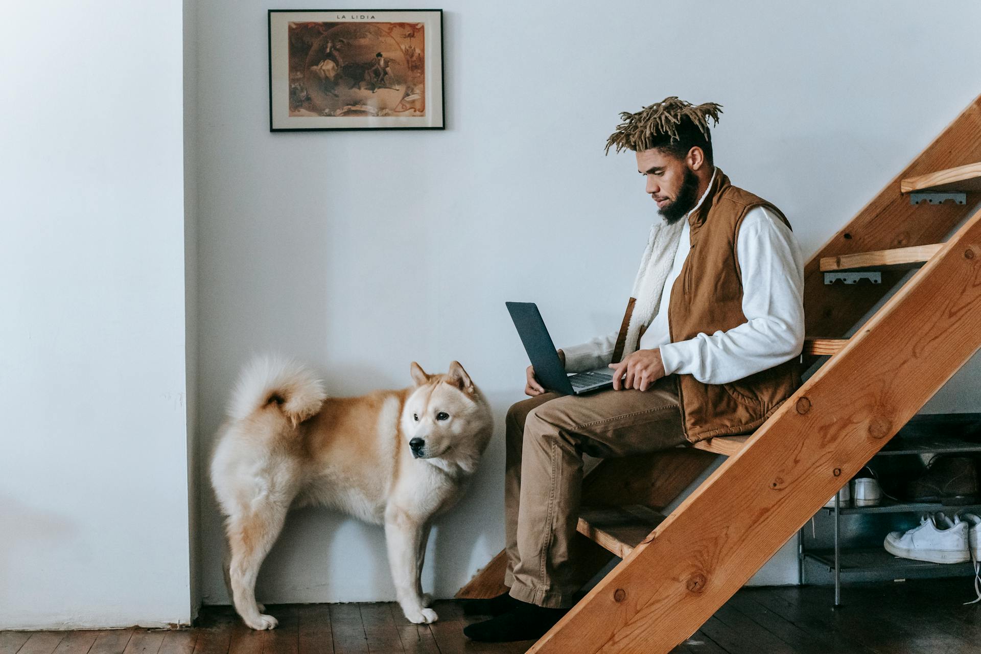 Vue latérale d'un jeune homme afro-américain indépendant travaillant à distance sur un ordinateur portable assis sur un escalier en bois près d'un adorable chien Akita à la maison