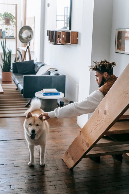 Side view of young black male with Afro hairstyle caressing cute Akita dog with tongue out while sitting on wooden stairs in cozy living room