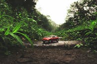 一辆红色宝马小型玩具车停在绿意盎然的草地上，营造出梦幻般的场景