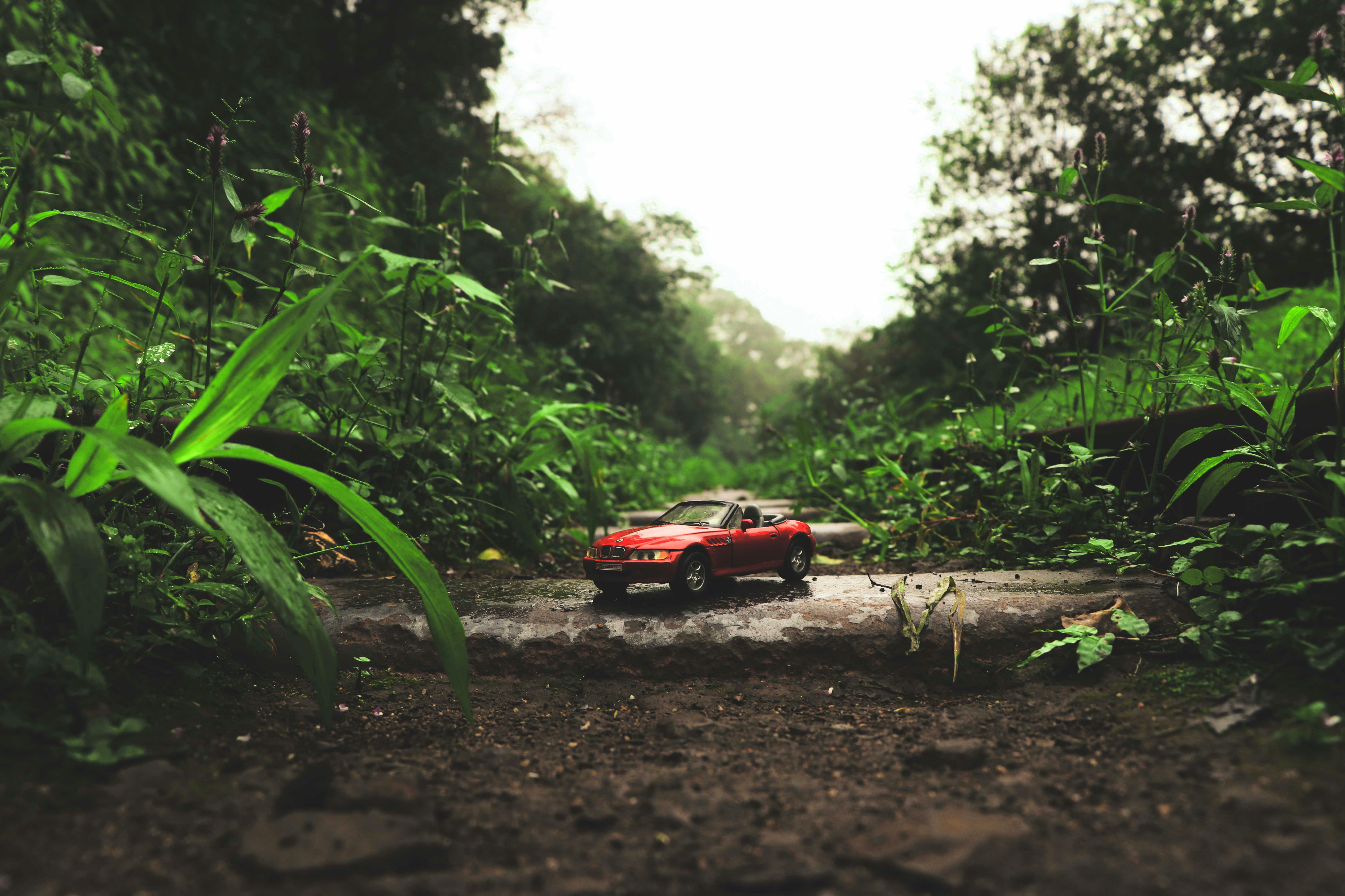 Red Classic Fiat 500 Free Stock Photo