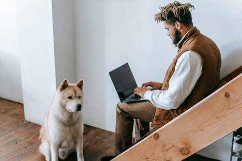 Serious ethnic man working distantly on laptop sitting on staircase near calm dog