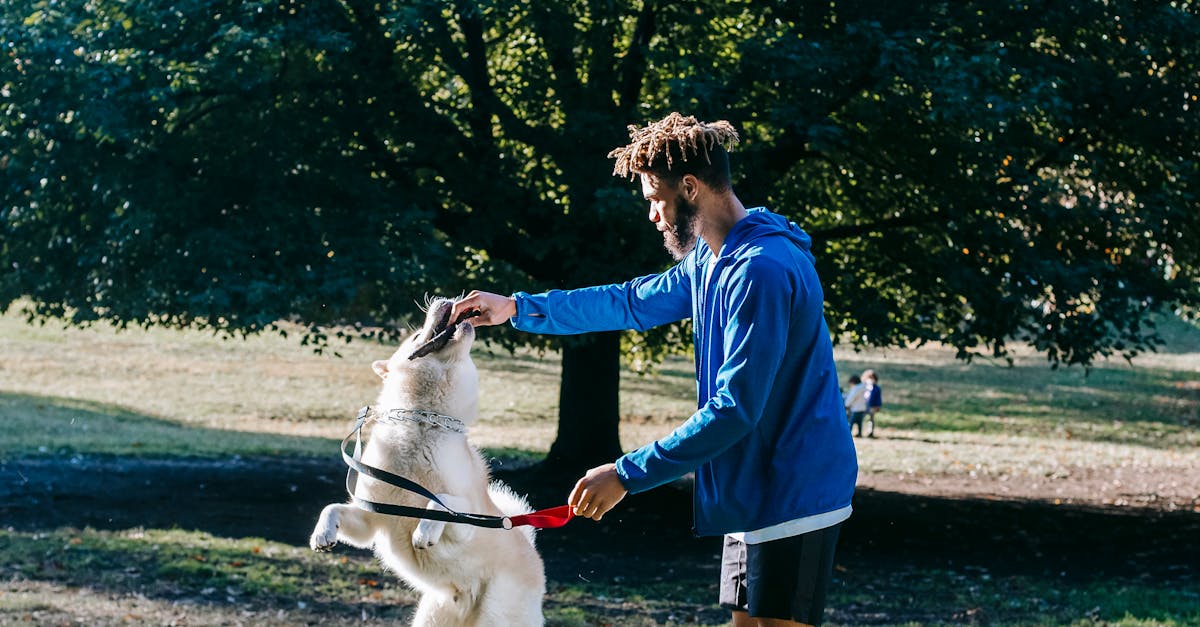 African American guy giving command to active purebred dog in park