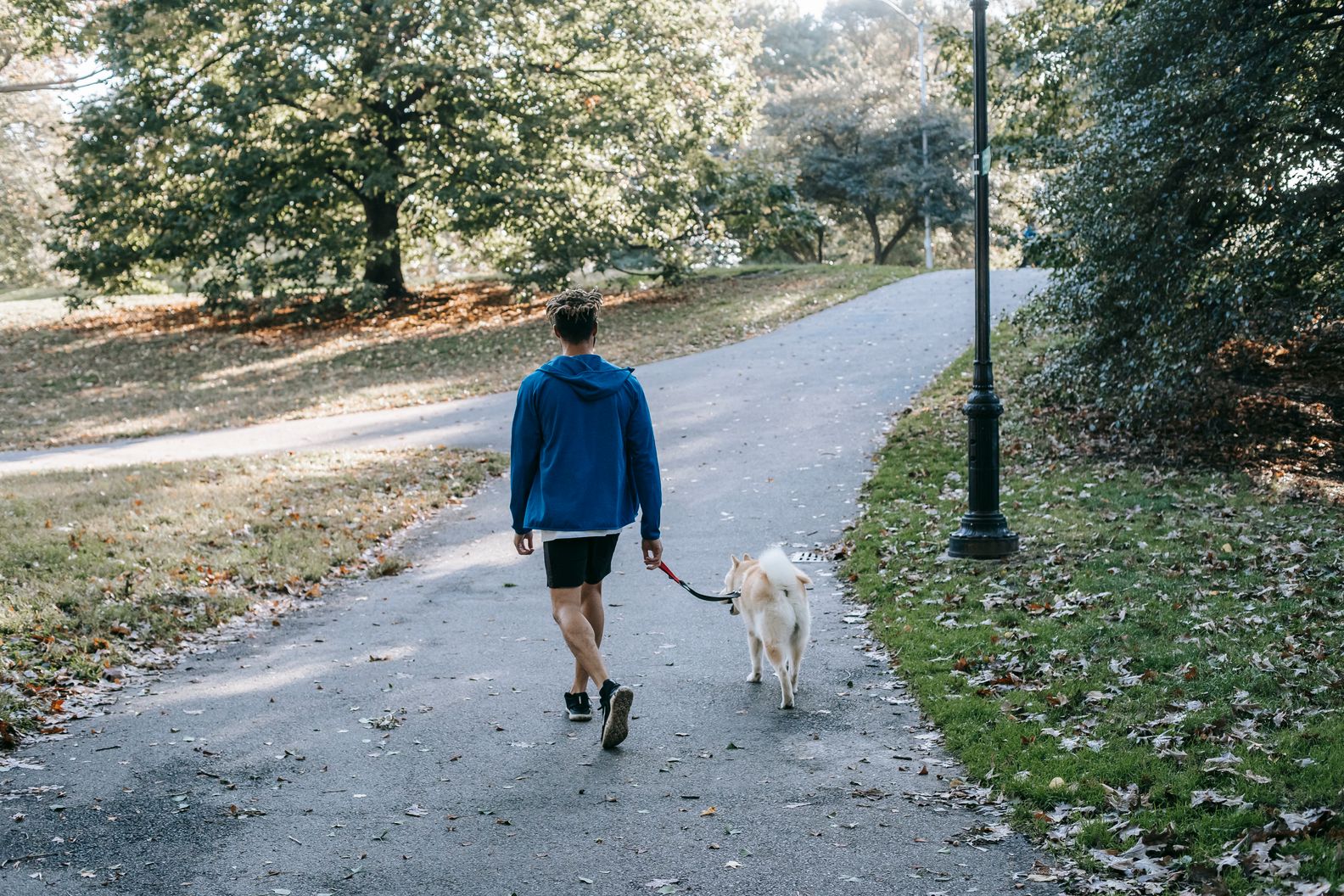 What Is the Best Way to Get Your Dog to Lick Your Balls? [Answer]