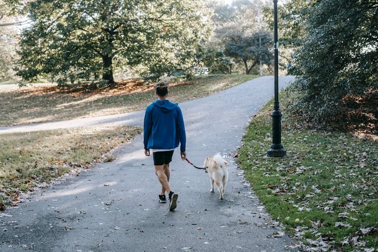 A man in activewear walks his dog along a tree-lined path in an autumn park.