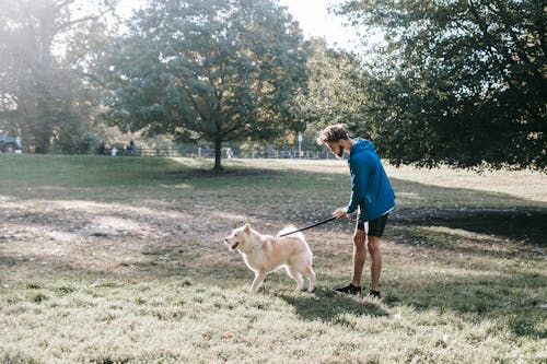 Side view of young African American man in activewear standing on grassy lawn with purebred dog on leash while spending time together in park