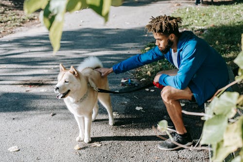 Side view of young bearded ethnic man in sportswear caressing cute Akita dog while resting on bench in park after workout