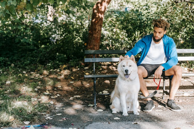 Ethnic Hipster Man Stroking Cute Dog On Bench In Park