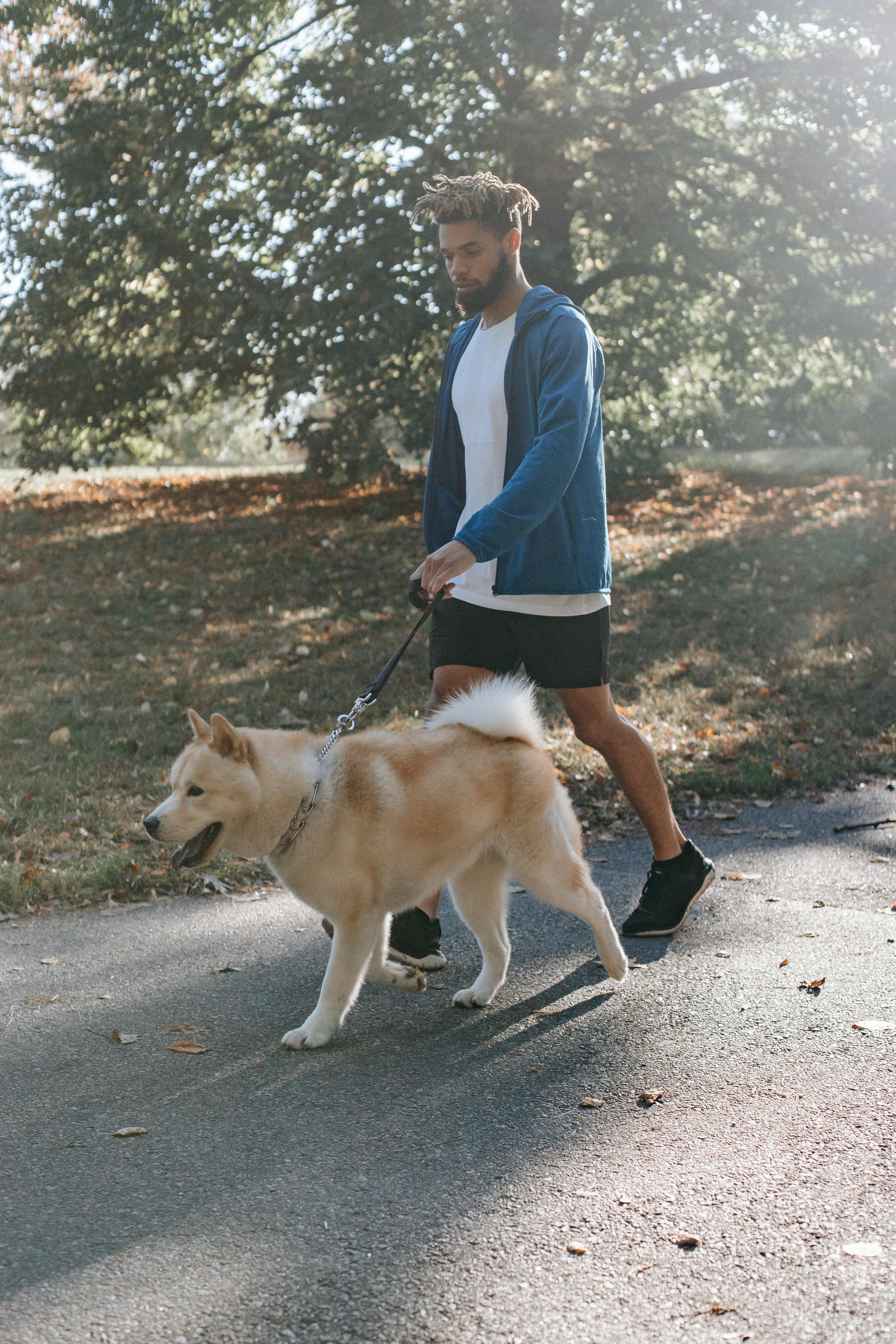 Ethnic hipster man strolling with West Siberian Laika on walkway
