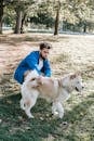 Young attentive ethnic hipster male with dreadlocks showing with finger while interacting with purebred dog on lawn