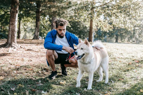 Ethnic owner interacting with West Siberian Laika in urban park