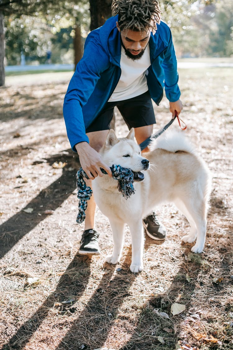 Crop Ethnic Owner Training Intelligent Dog In City Park