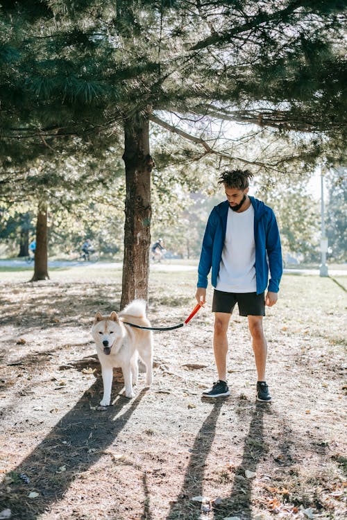 Ethnic man with West Siberian Laika on leash in park
