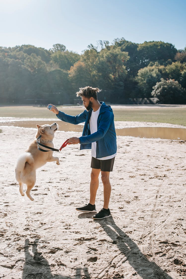 Ethnic Hipster Man Training Jumping Dog On Sandy Terrain