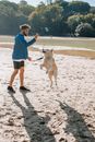 Side view of young unshaven ethnic male owner training West Siberian Laika with ball in air against trees in back lit