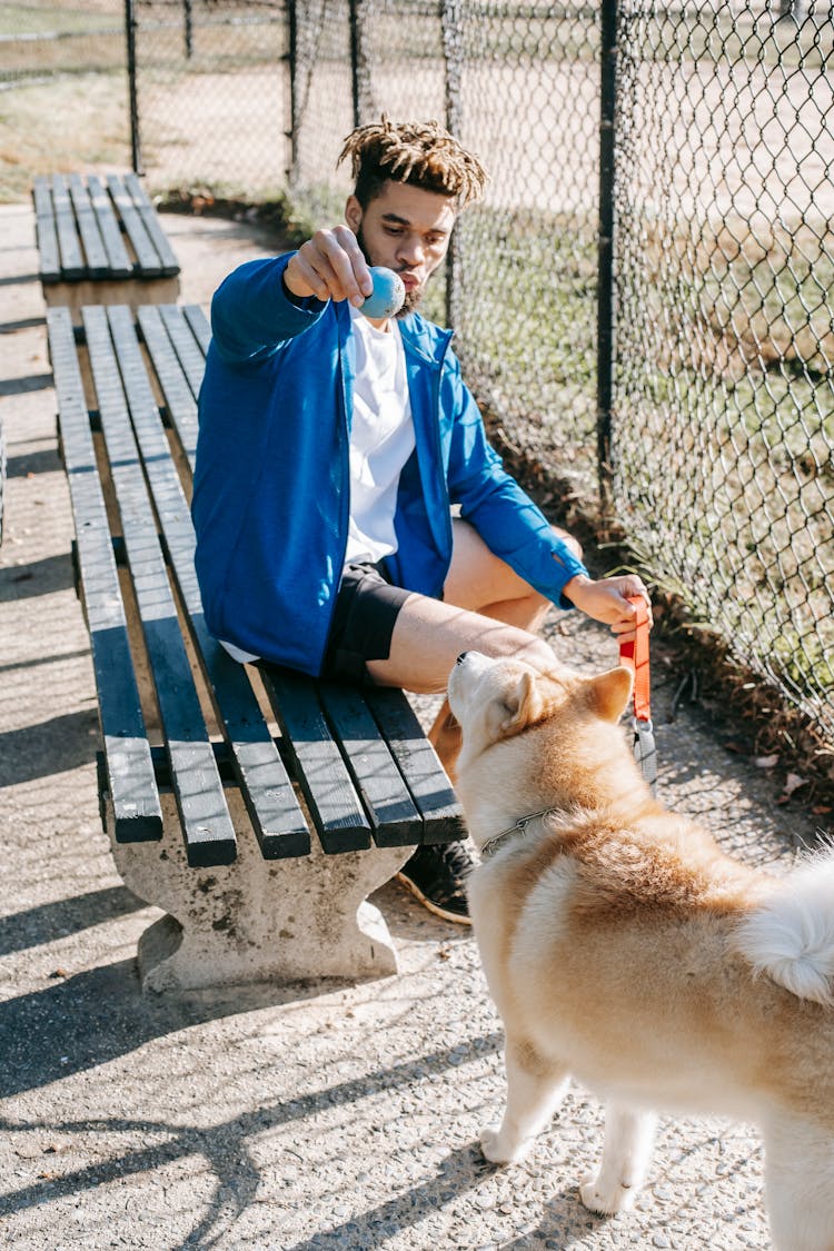 Ethnic Man With Ball Training Purebred Dog On Urban Bench