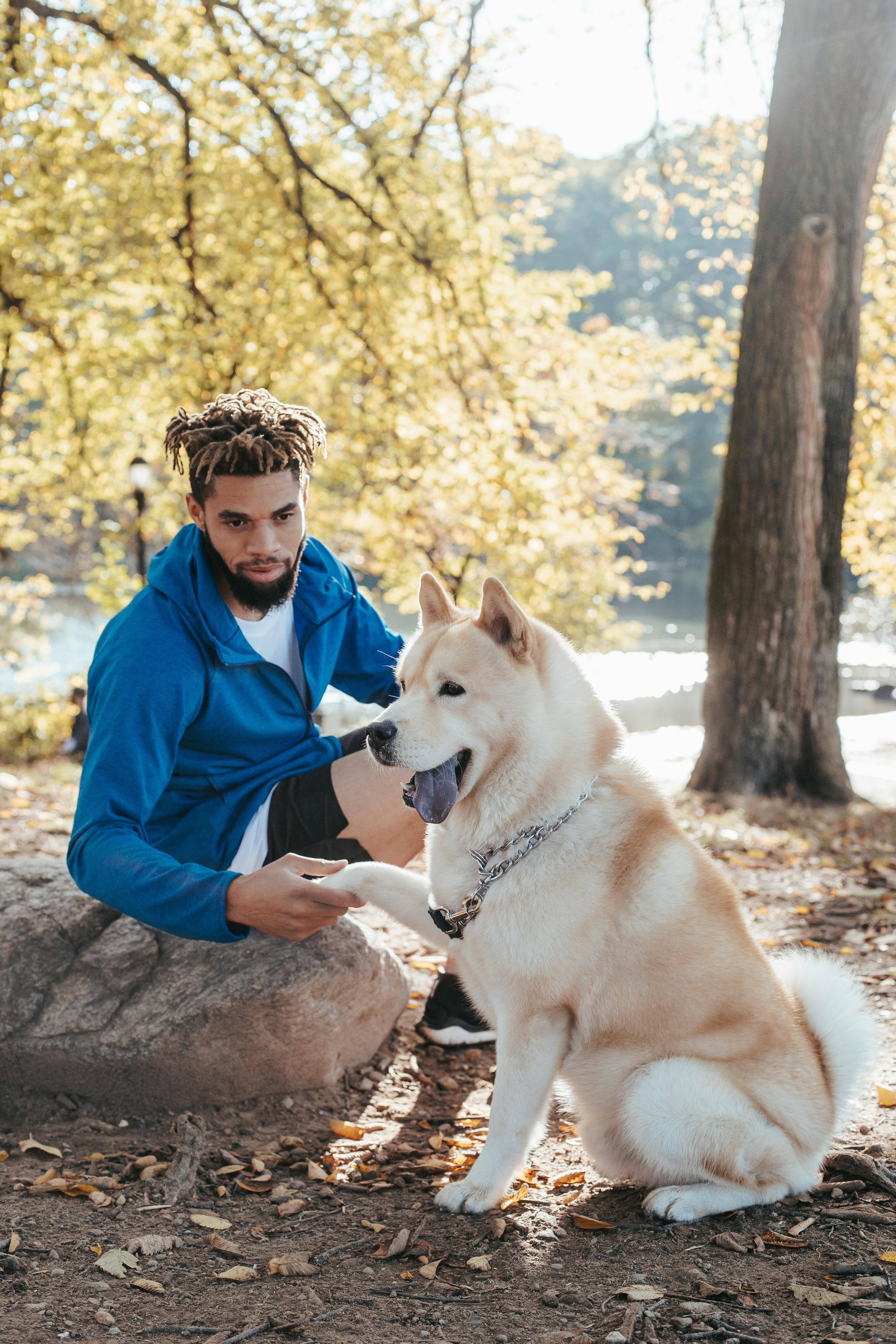 Full body of young ethnic hipster man holding paw of fluffy purebred dog while resting on stone in sunlight