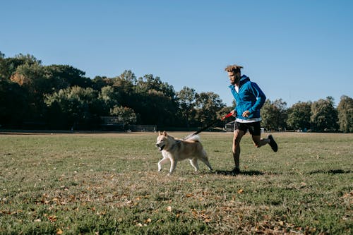 Ethnic hipster man running with West Siberian Laika on meadow