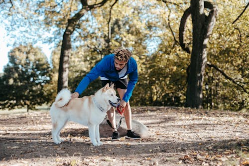 Ethnic owner caressing West Siberian Laika in park