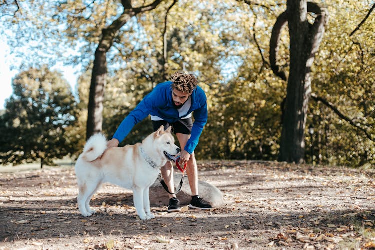 Ethnic Owner Caressing West Siberian Laika In Park