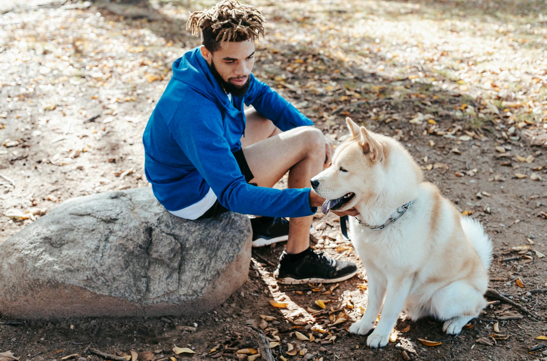 From above side view of young ethnic male with dreadlocks resting on stone near West Siberian Laika with tongue out on street