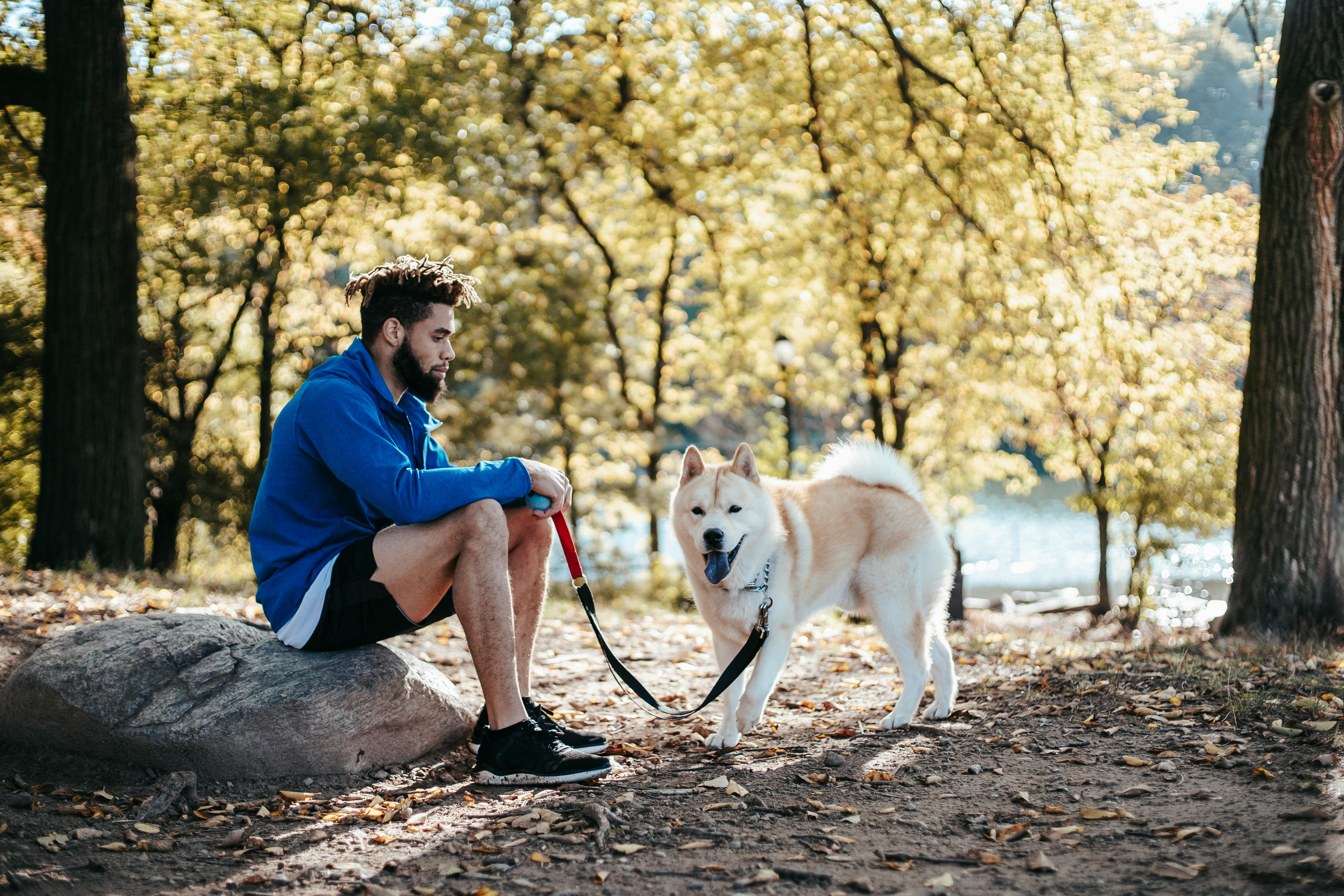 ethnic bearded man with purebred dog in park