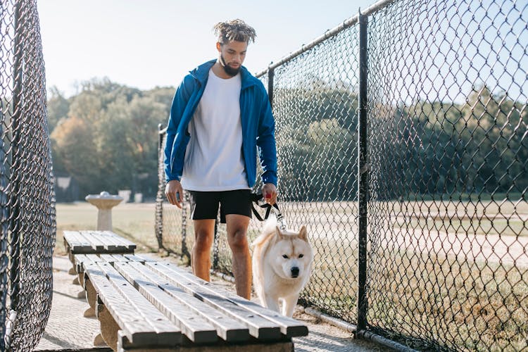 Ethnic Hipster Man Walking Purebred Dog Between Grid Fences