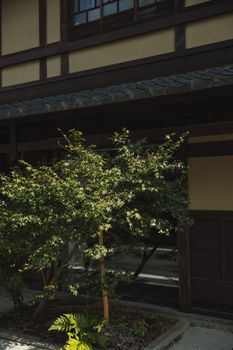 京都传统房屋的立面宁静如画，花园里绿树成荫
