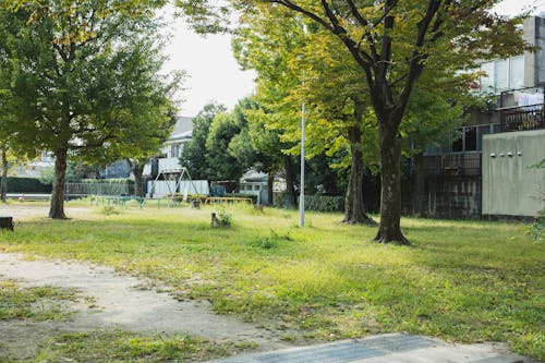 Green yard with trees in city