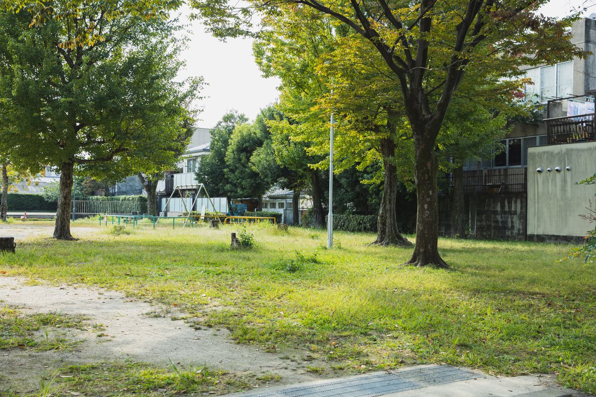 A green, tree lined yard in the middle of a city