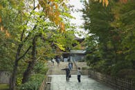 Traditional shrine behind lush trees in park