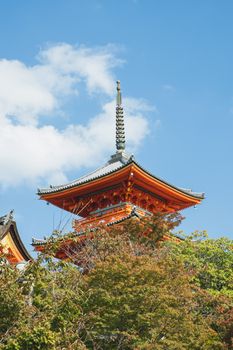 公园绿树后面，古老的传统寺庙下方有装饰性屋顶