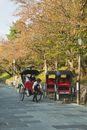 Local guy pulling traditional rickshaw with tourists in city park